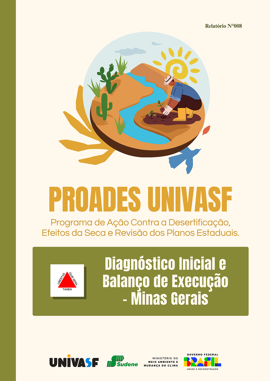 Capa do Diagnóstico - Minas Gerais