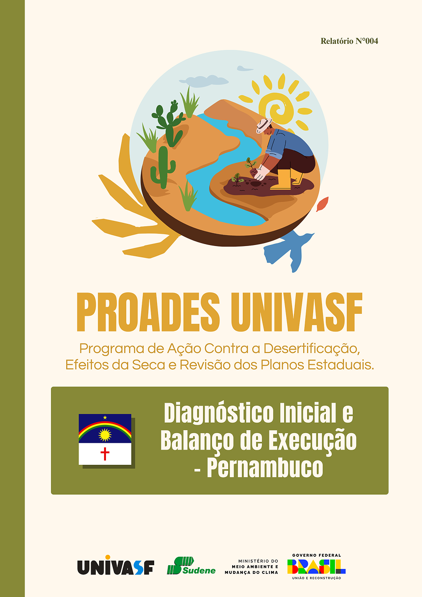 Capa do Diagnóstico - Pernambuco