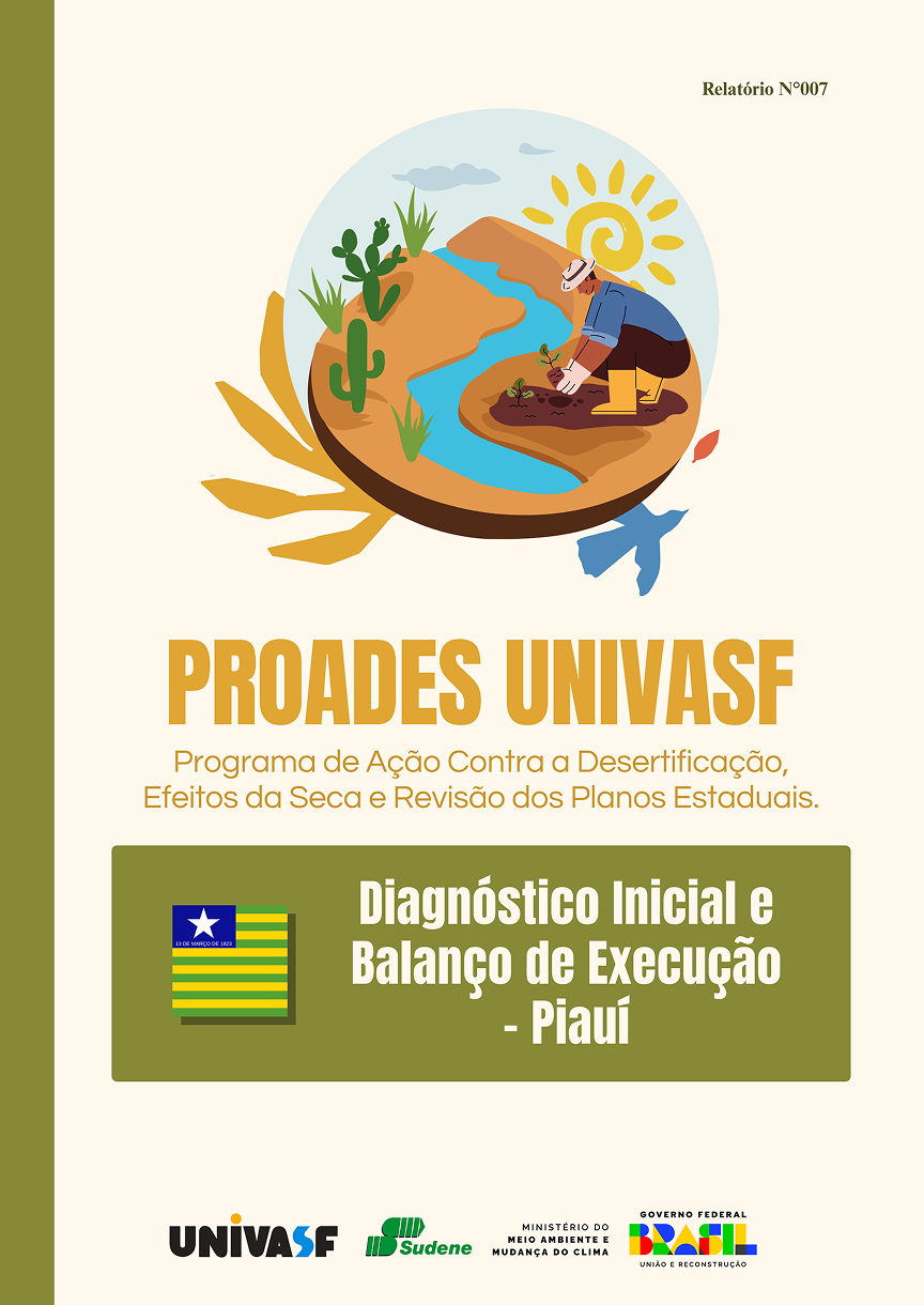 Capa do Diagnóstico - Piaui